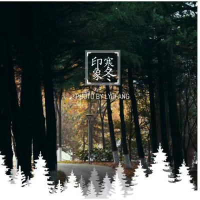 677609955ca85.png 677609955ca85.png